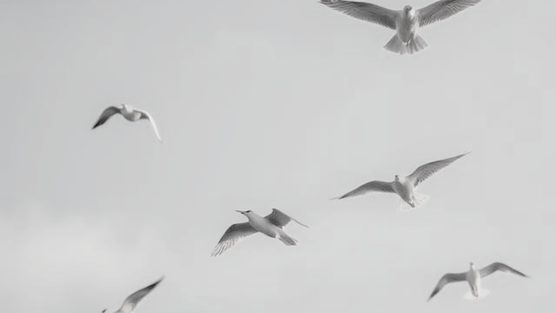 Walk and Talk Therapy